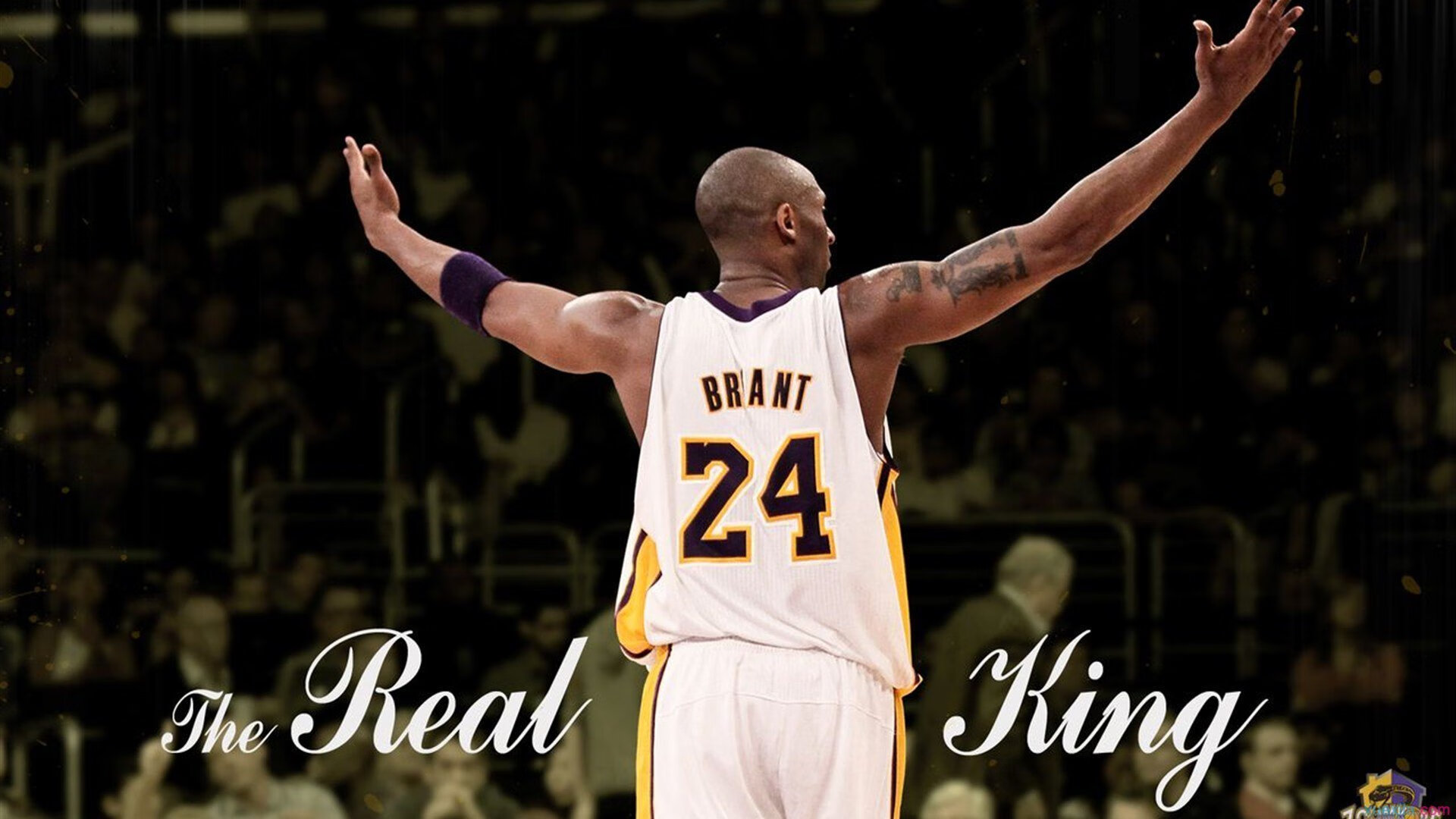 球迷投票：你心中的最激动时刻是哪一场？，激动人心的球赛